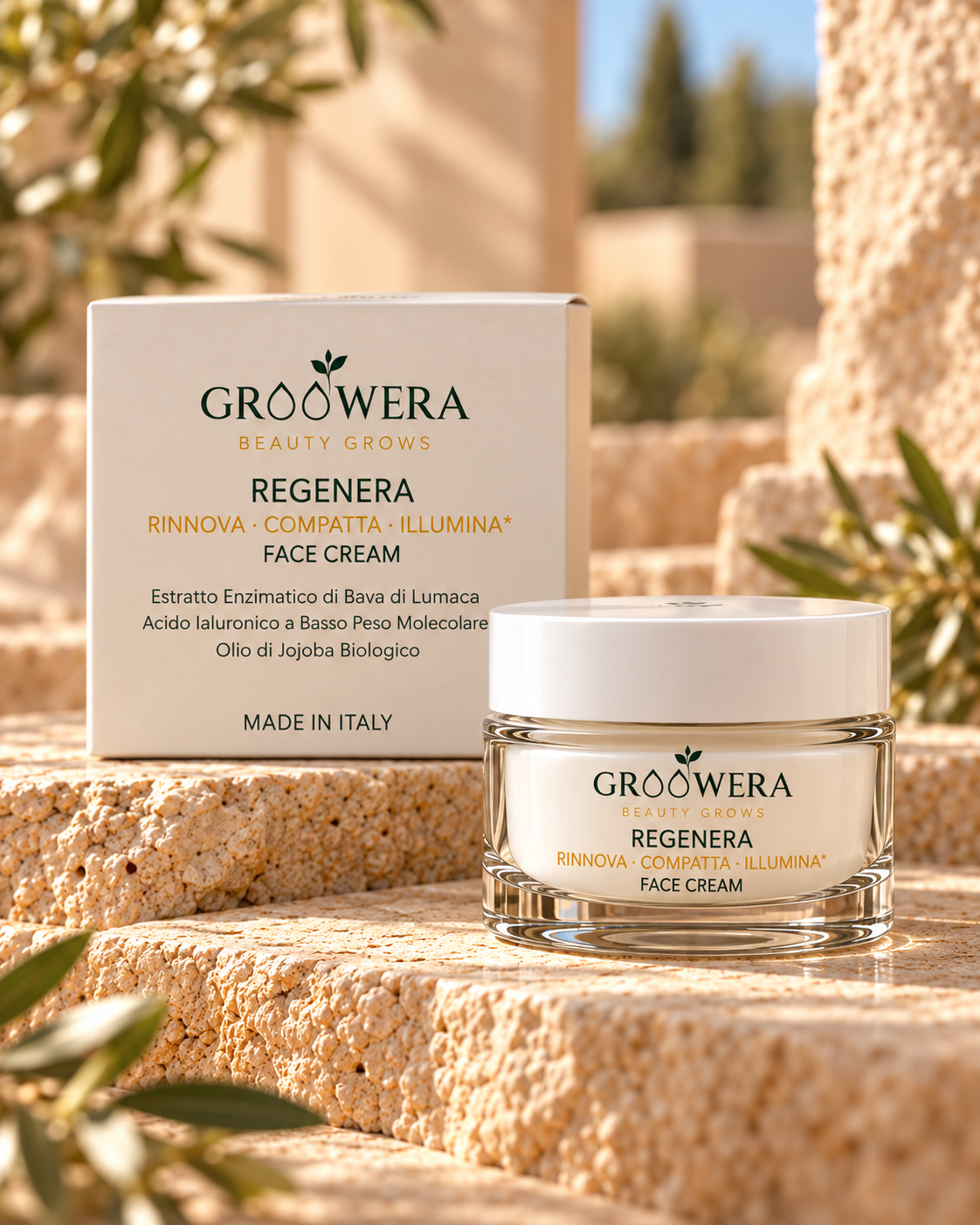 Vasetto della crema viso GROOWERA Regenera aperto accanto alla sua scatola avorio e foglie verdi